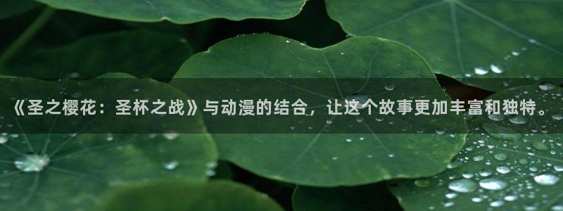 volcanicage漫画：《圣之樱花：圣杯之战》与动漫的结合，让这个故事更加丰富和独特。