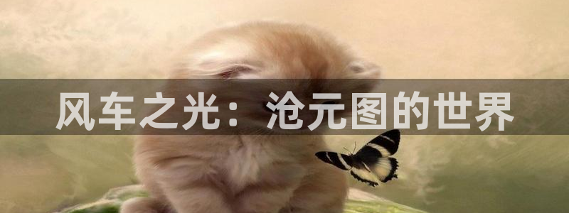backstage韩漫免费观看