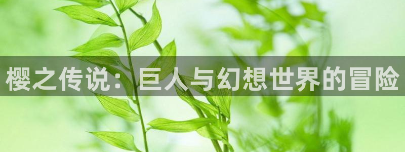 歪歪漫画网