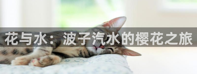 歪歪漫画正版网