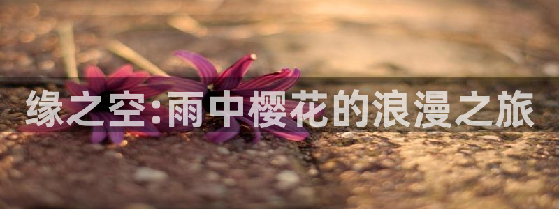 歪歪漫画网下载：缘之空:雨中樱花的浪漫之旅