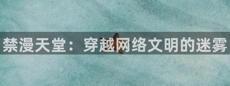 kakaopage韩漫官网：禁漫天堂：穿越网络文明的迷雾