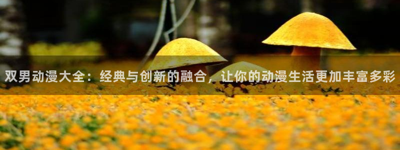 volcanicage漫画：双男动漫大全：经典与创新的融合，让你的动漫生活更加丰富多彩