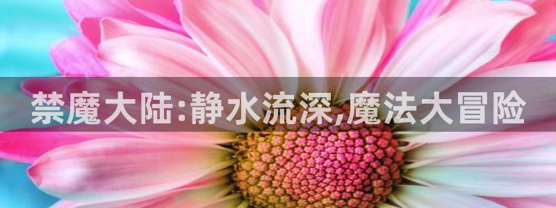 kakaopage韩漫官网：禁魔大陆:静水流深,魔法大冒险